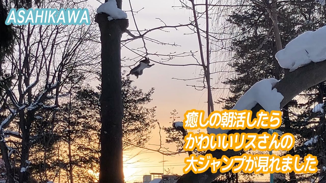 ＃9ココロニモエイヨウ