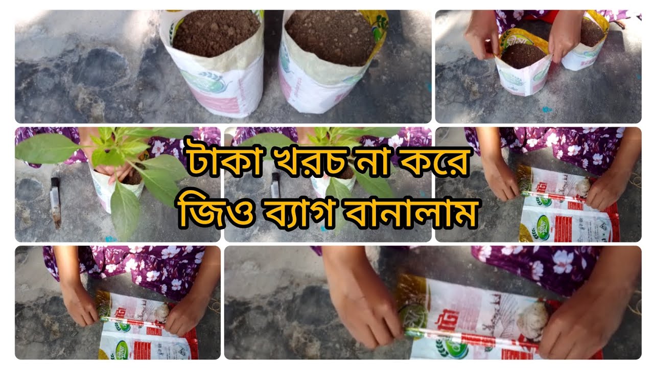 আটার প্যাকেট দিয়ে বাড়িতে জিও ব্যাগ বানালাম শীতের সবজি গাছ লাগানোর জন্য।