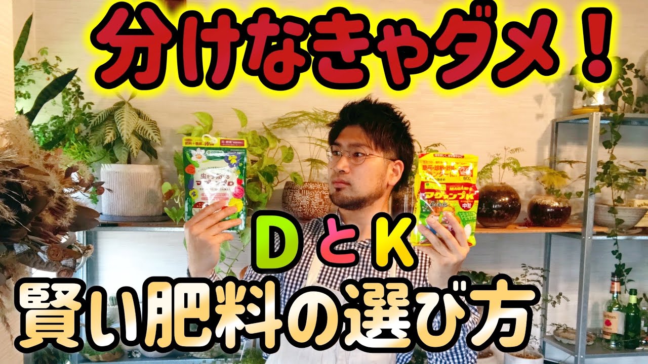 マグァンプKとマグァンプDの４つの違い【持久力or殺虫力】健康な植物を育てる自宅園芸ガーデニング