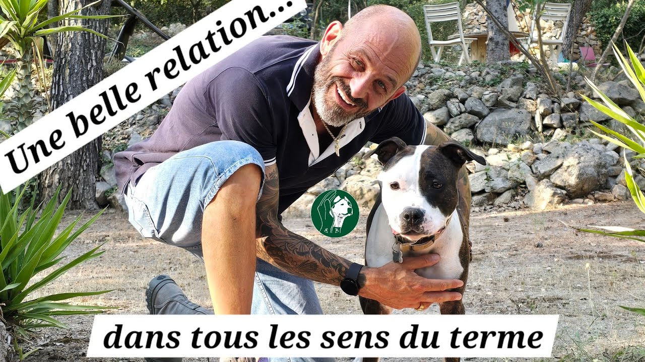 Comment avoir une belle relation avec son chien ?