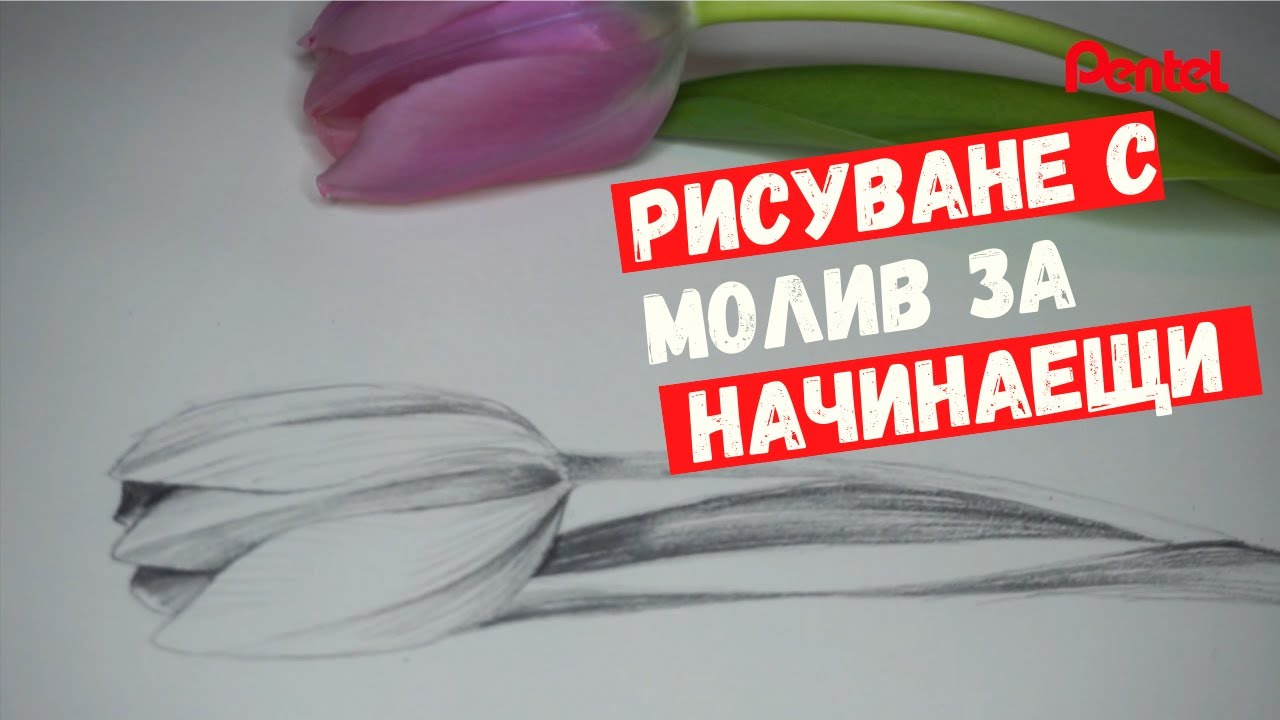Рисуване с молив |  Видове щрихи за начинаещи | Pentel