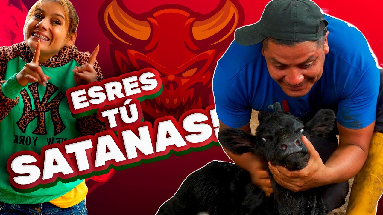 LES PRESENTO AL NUEVO INTEGRANTE DE LA FAMILIA