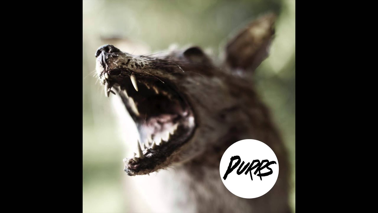 DUST // PURRS (Official audio)