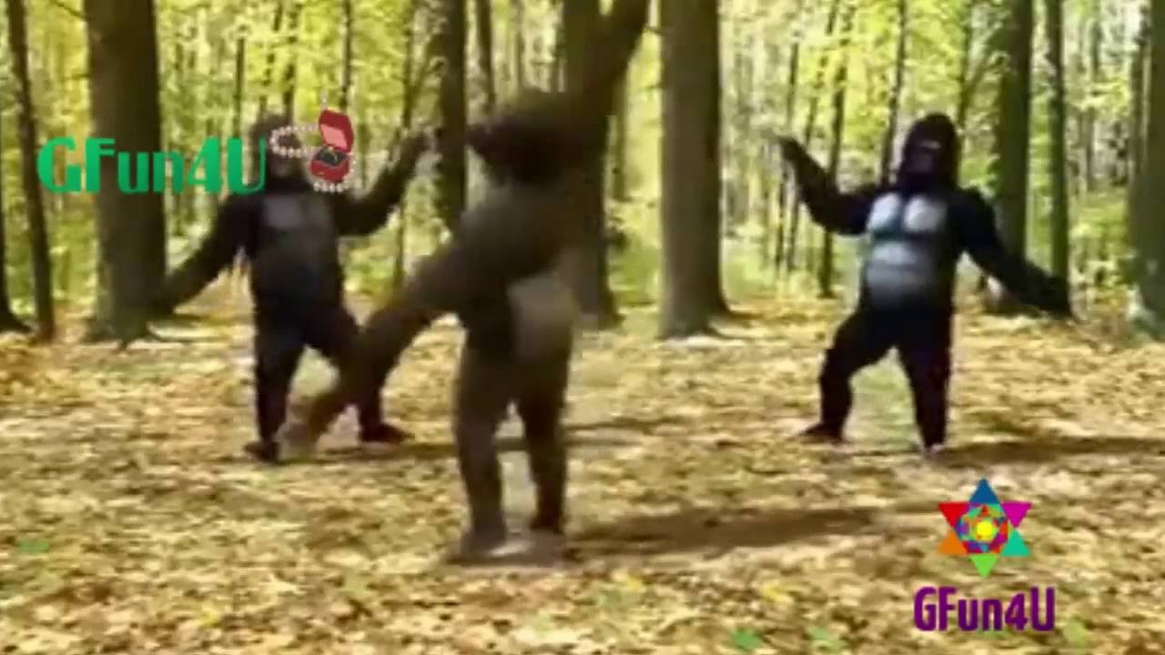 Go Nawaz Go funny video
