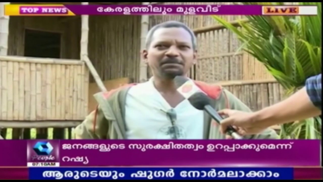 Bamboo Houses Gain Popularity In Kerala
