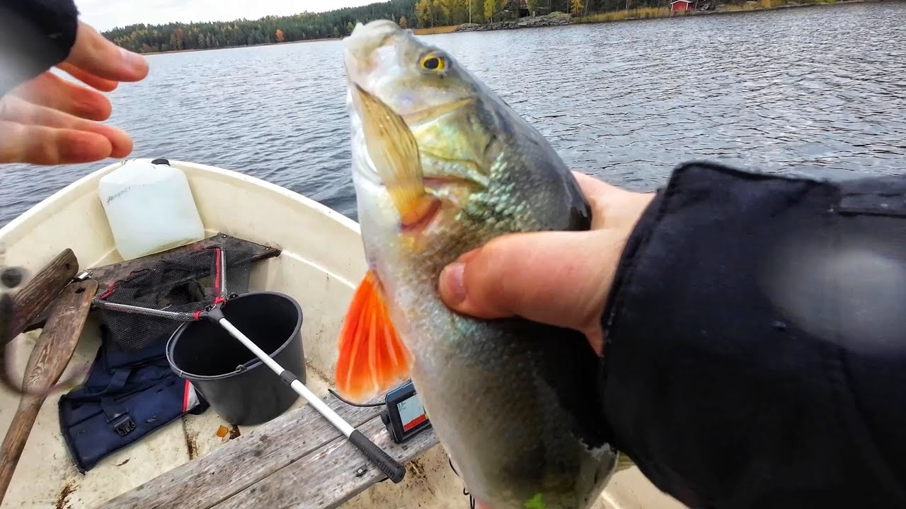 JIGIKALASTUSTA LOKAKUUSSA | LÖYDÄNKÖ KALAT? | PIEN-SAIMAA