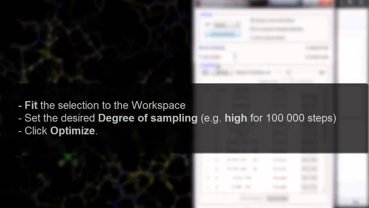 Protein Preparation Wizard - Use Interactive Optimizer