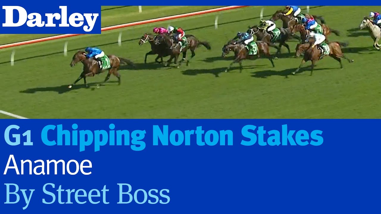 Anamoe by Street Boss wins the G1 Chipping Norton Stakes at Randwick