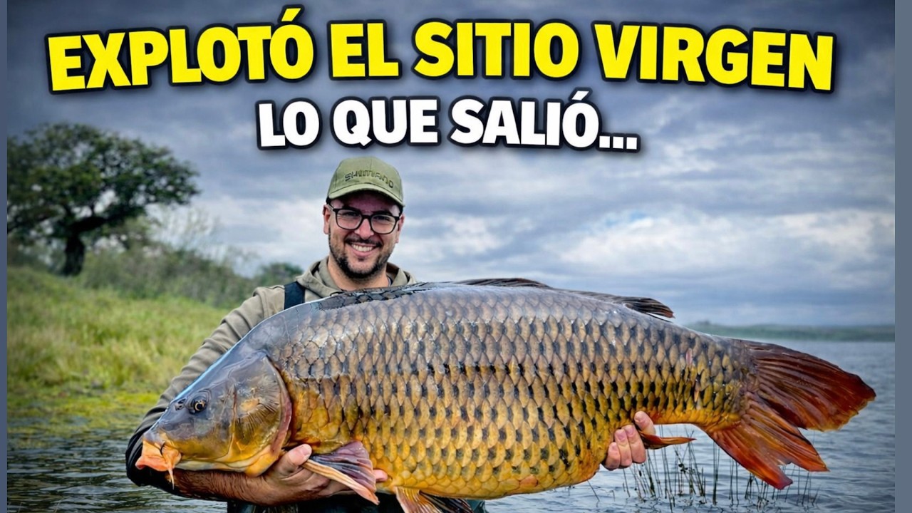 Carpfishing Orellana 🔥 El SITIO VIRGEN EXPLOT&Oacute; +24kg en Primavera