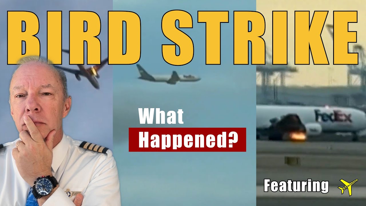 Bird Strike & Engine Fire: Captain Steeeve Breaks Down FedEx 3609 Emergency