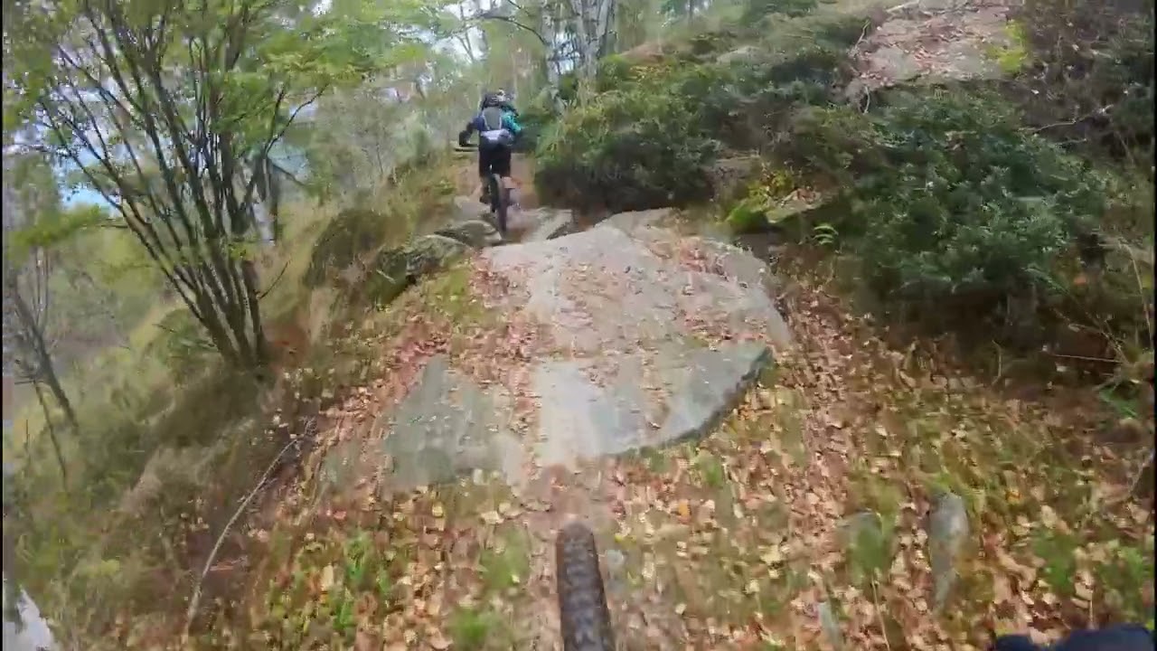 Turle Trail