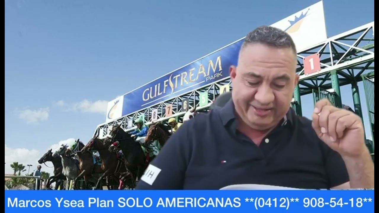 #sabado 31#enero #gulfstreampark #venezuela #horse #caballos #americanas #venezolanoseneeuu 