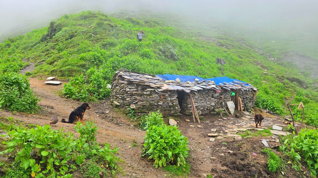 Real Himalayan Nepali Mountain Village Life During Heavy Rain | Rainy Season Documentary Video | 