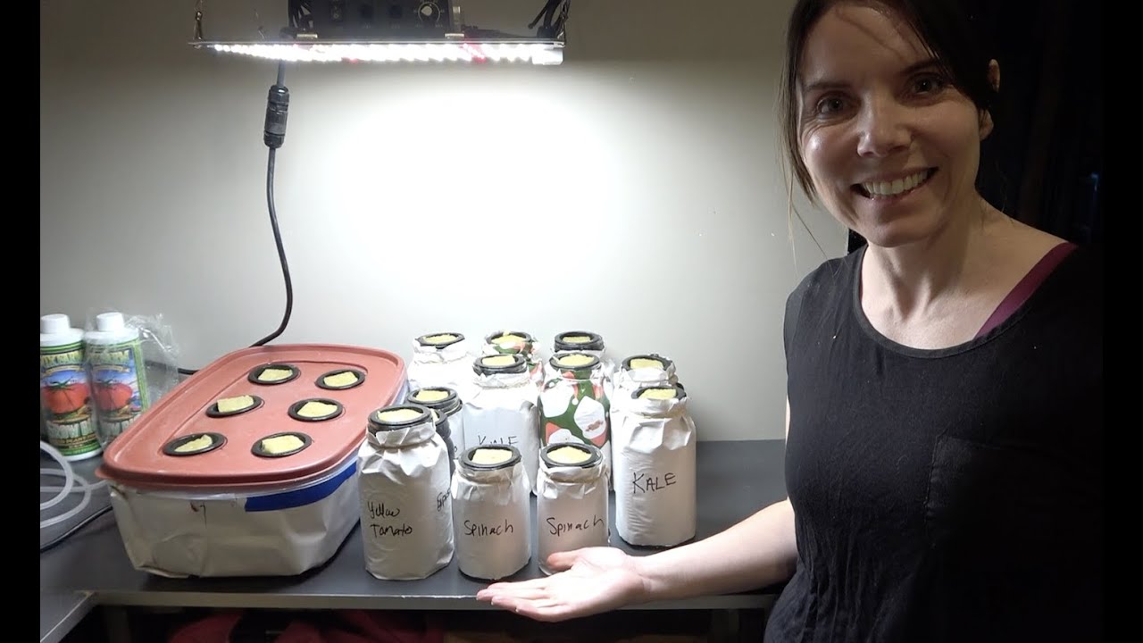 Easy Low Cost Hydroponics at Home [Kratky & Deep Water Culture Methods]