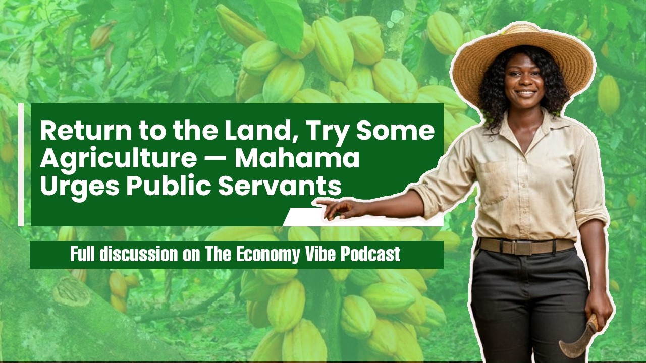 Economy Vibe: Return to the land, try some agriculture - Mahama urges public servants