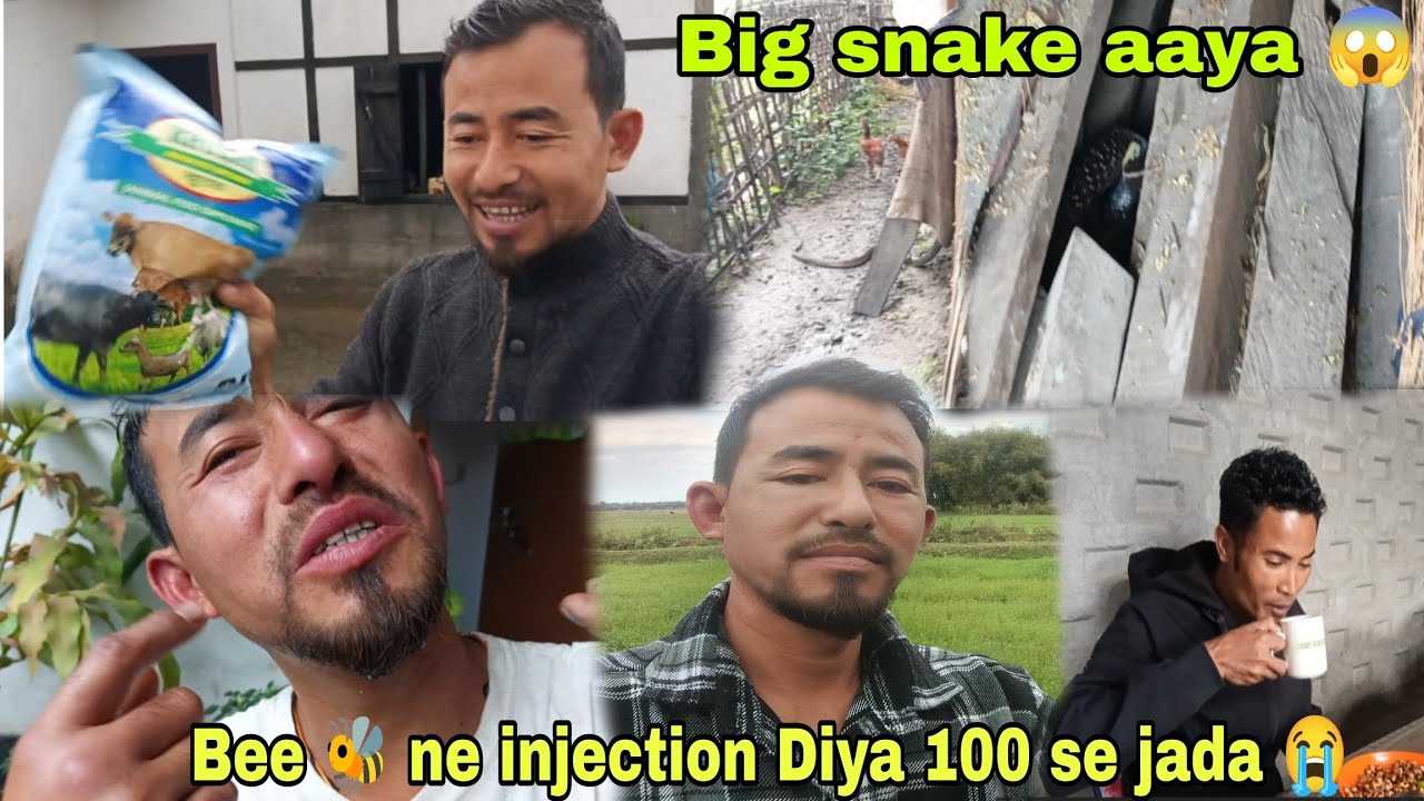 Bee 🐝 ne injection Diya 100se jada 😭//Big Snake 🐍 aaya 😱