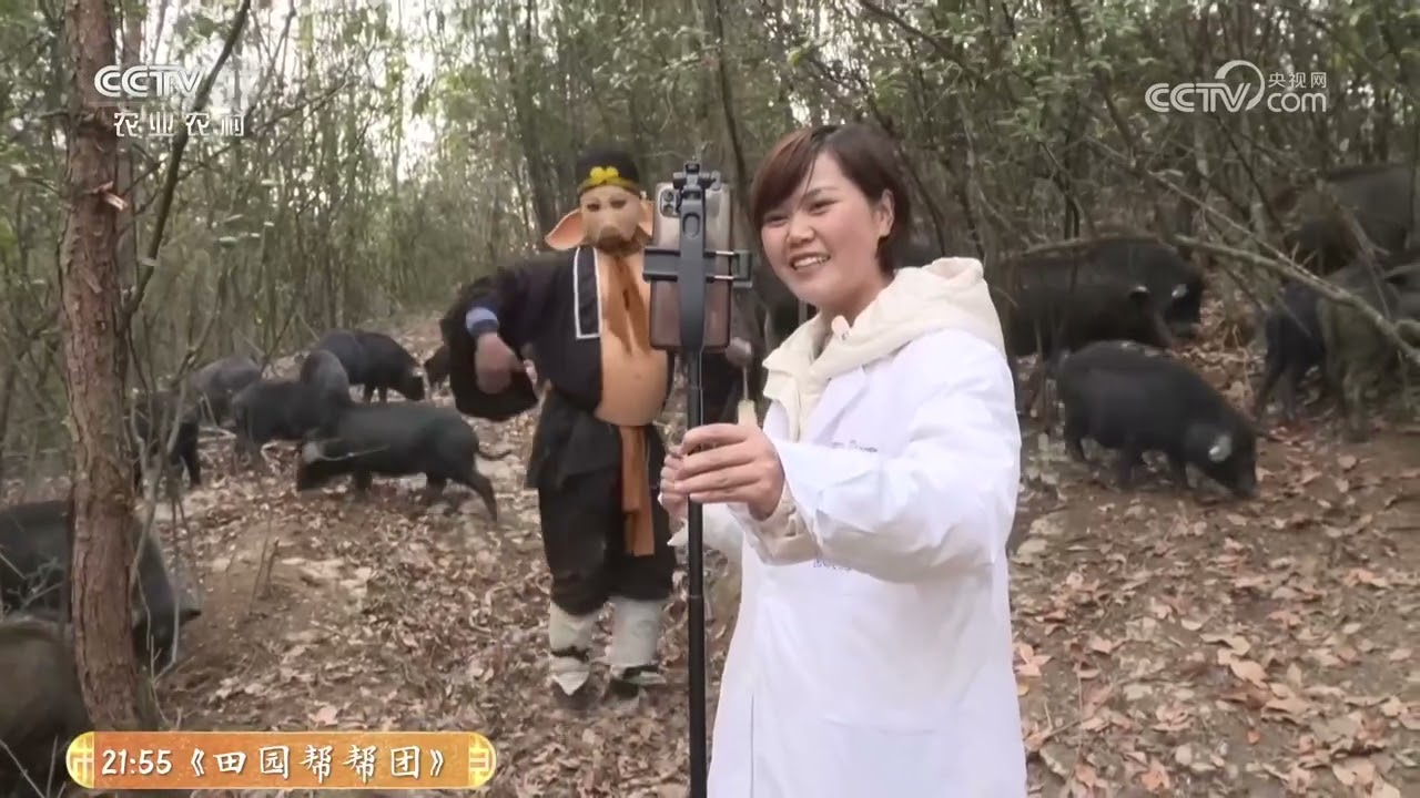 《共富经》 20260308 大山深处财富来 | 农业致富经 Agriculture And Farming