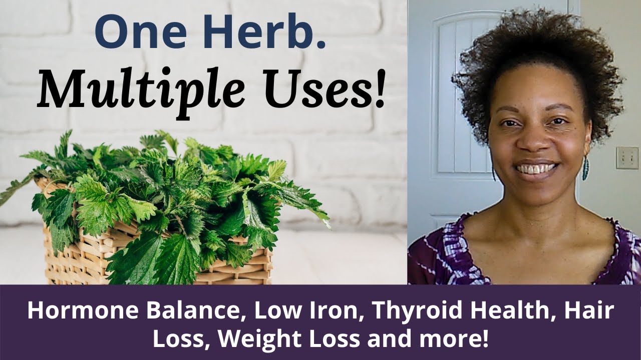 Benefits Of Stinging Nettle for Hormone Balance, Low Iron, Hair Loss, Weight Loss, Thyroid