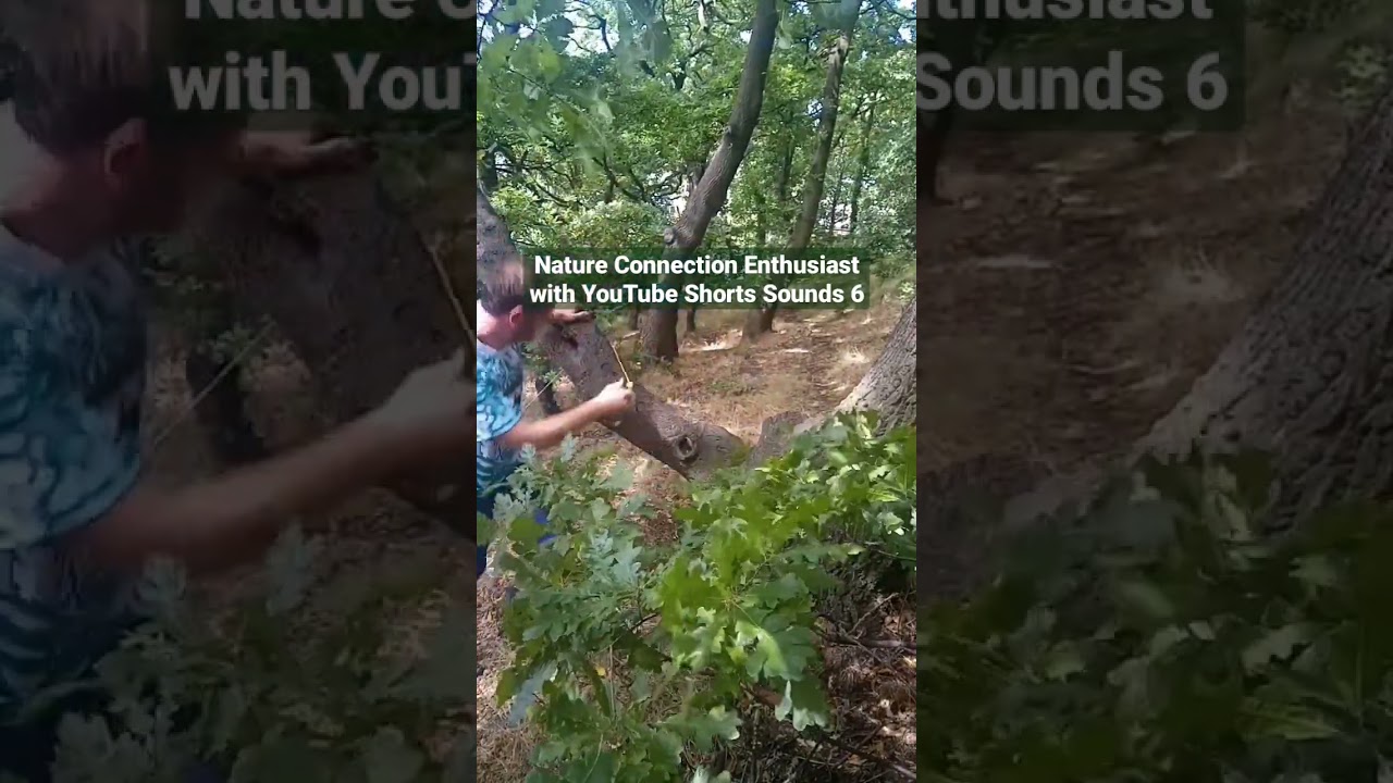Nature Connection Enthusiast with YouTube Shorts Sounds 6 iWishYouWell #NatureConnection #Shorts 💚💙🙏