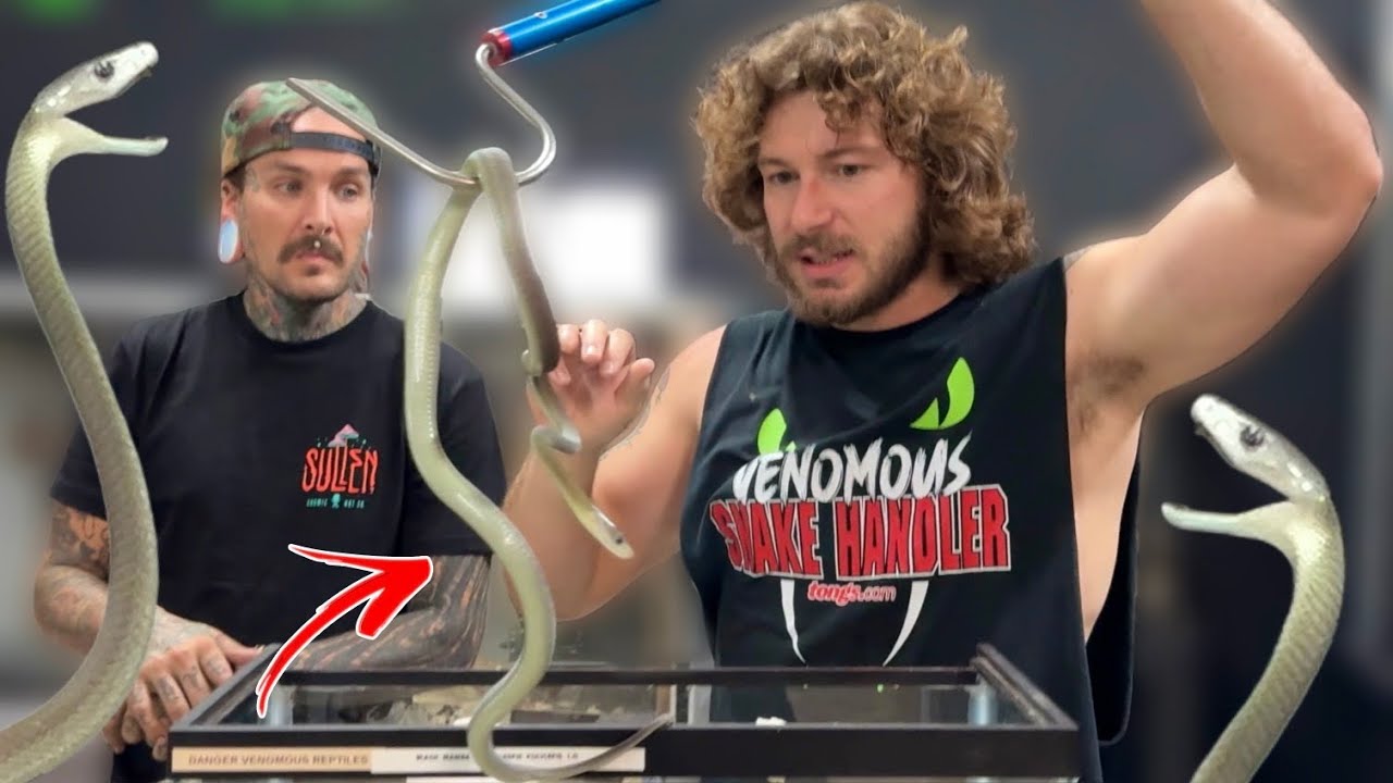 BLACK MAMBA gets NEW HOME! @TylerNolan 