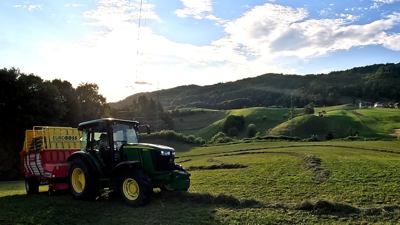 Summer on a Small Dairy Farm