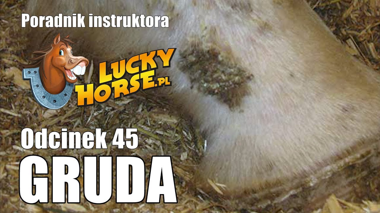 Porady LuckyHorse pl - Odc45 - Gruda
