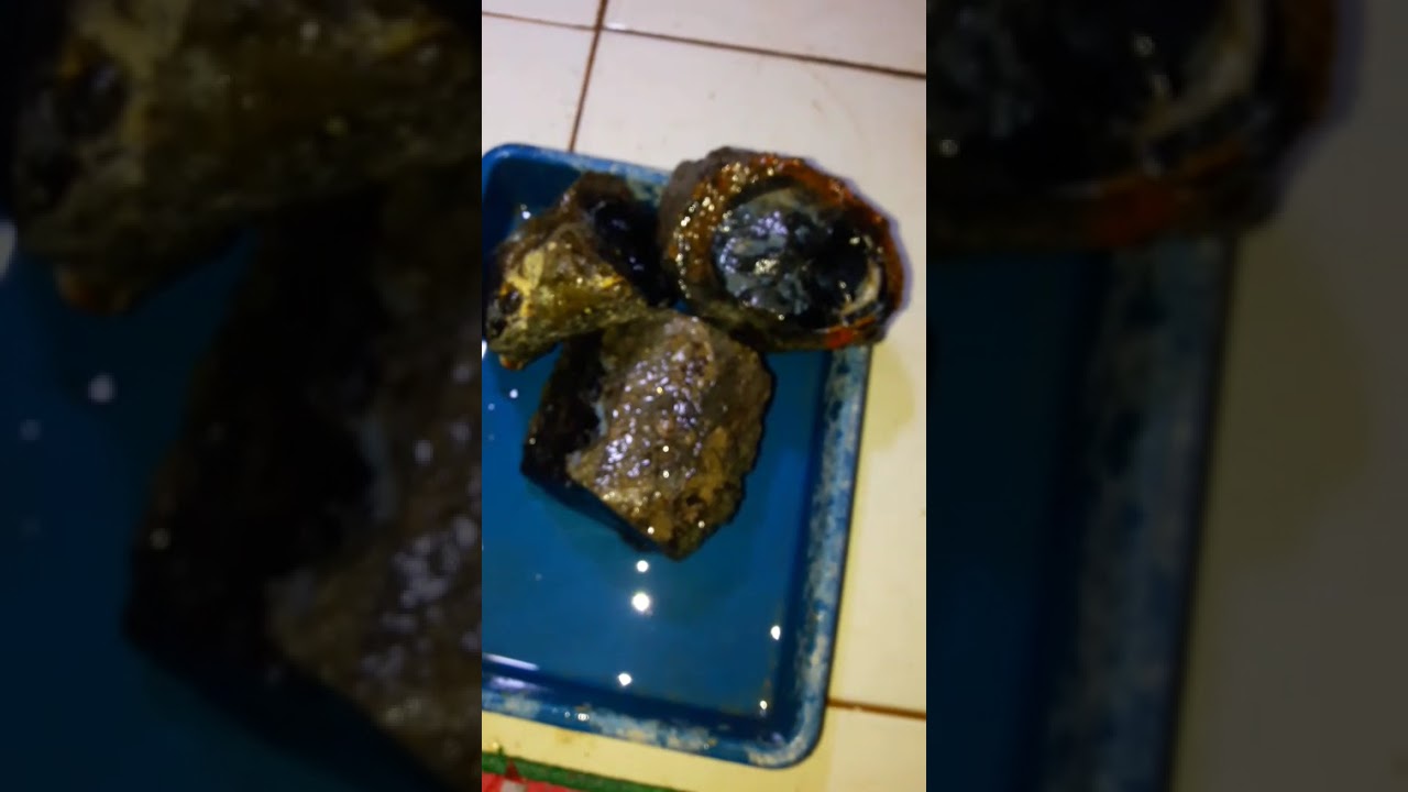Black✅ opal sempur banten jumbo2 2kg lebih harga 150 aja wa 085779408746
