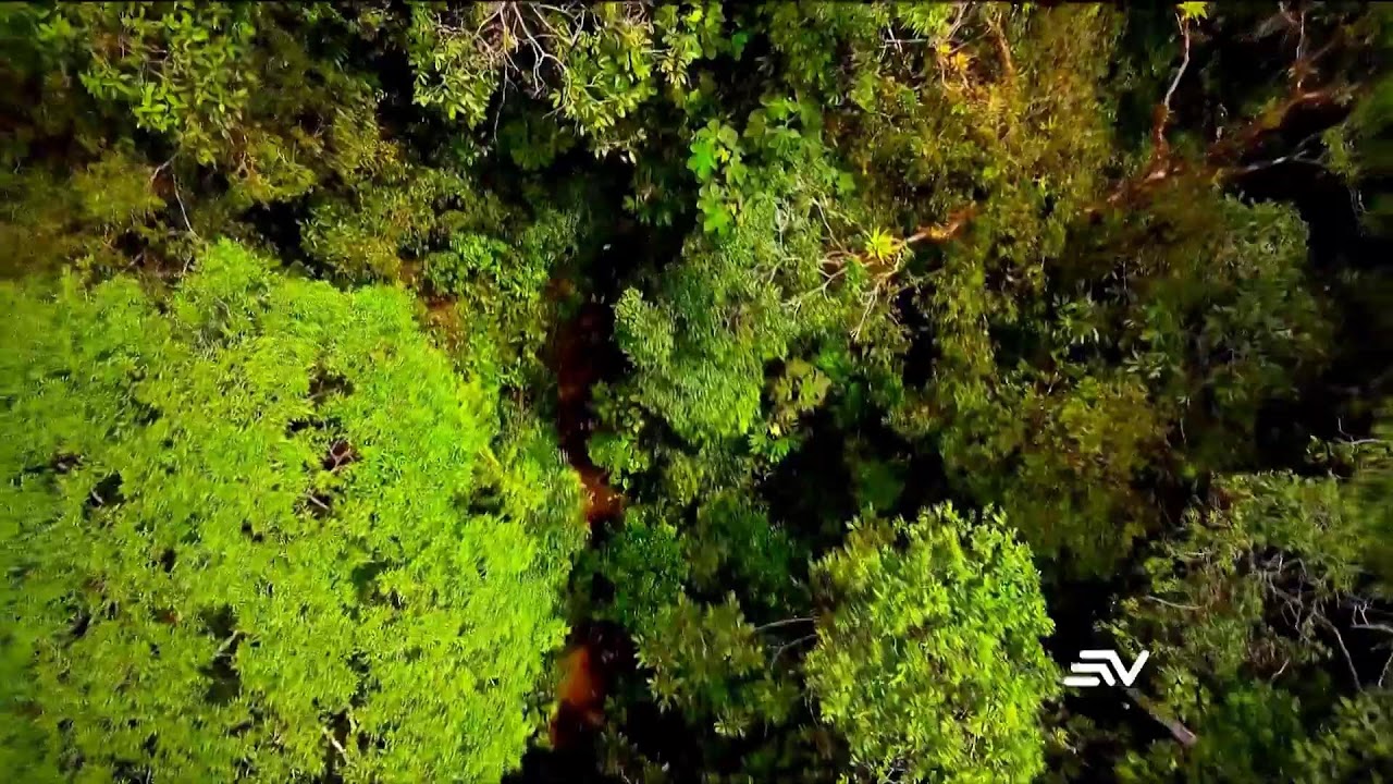#ENVIVO🔴 | NOTICIERO ECUADOR TELEVISTAZO 7PM | 13 Febrero 2026