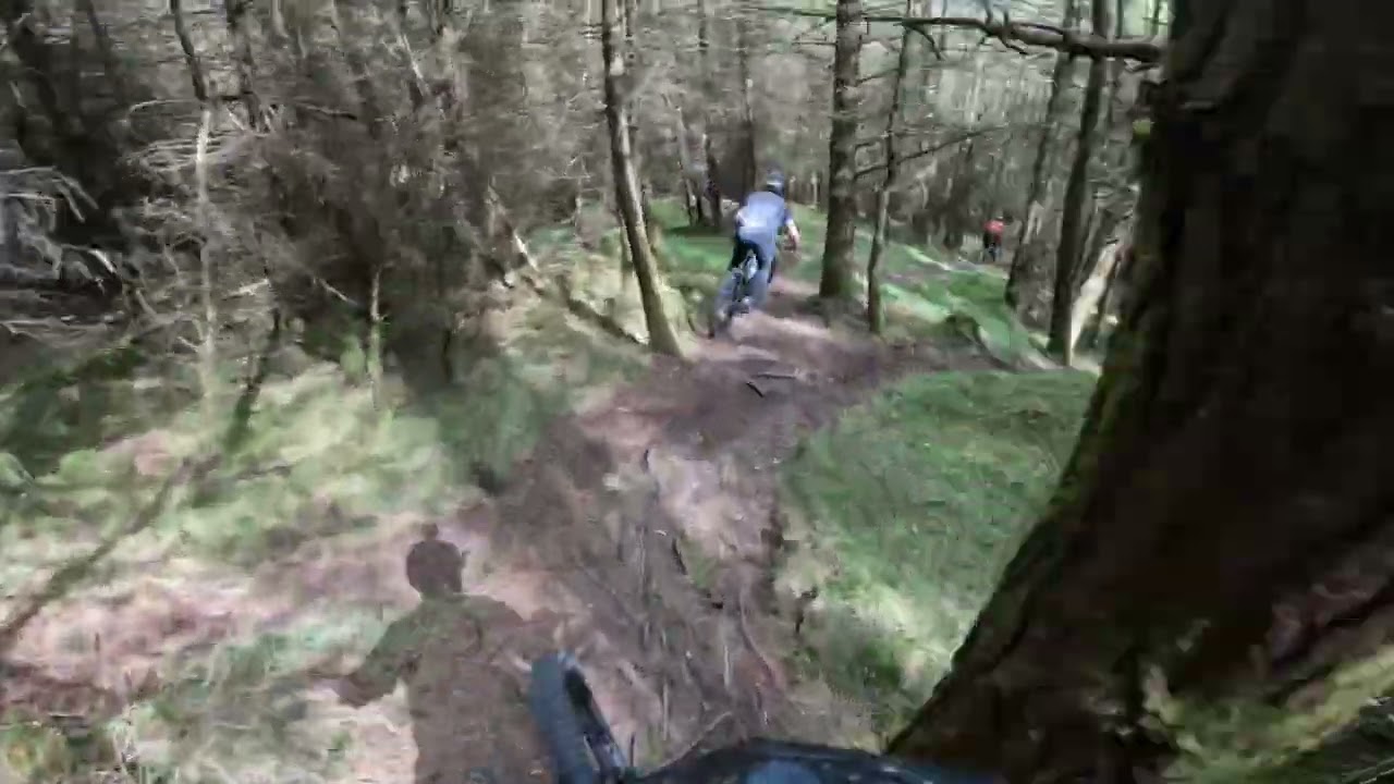 Viking MTB trail, behind Godfrey, Tollymore.