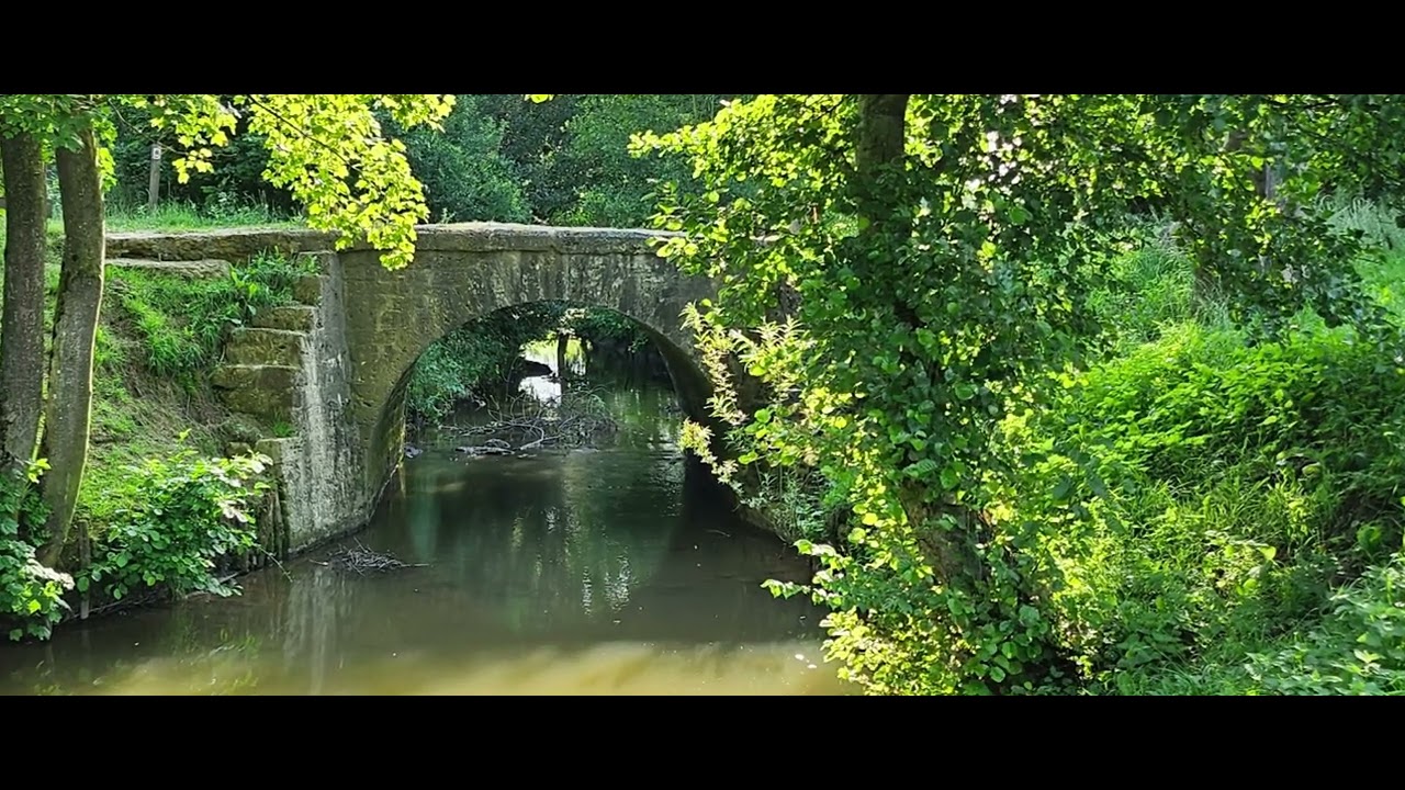 Le Pont de Coq