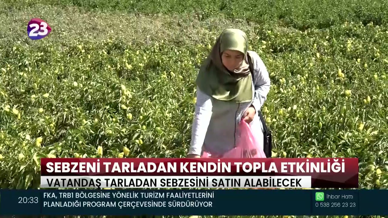 SEBZENİ TARLADAN KENDİN TOPLA ETKİNLİĞİ