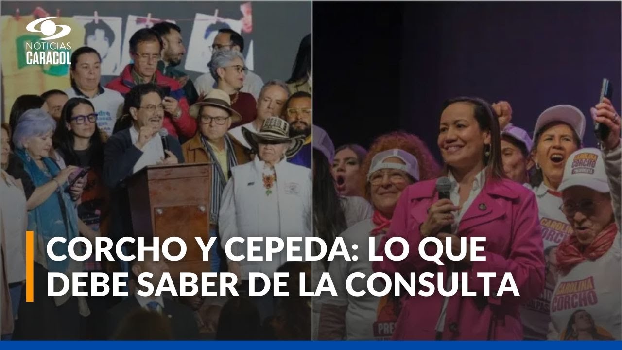 ¿Qué debe tener en cuenta para votar en la consulta de este 26 de octubre?
