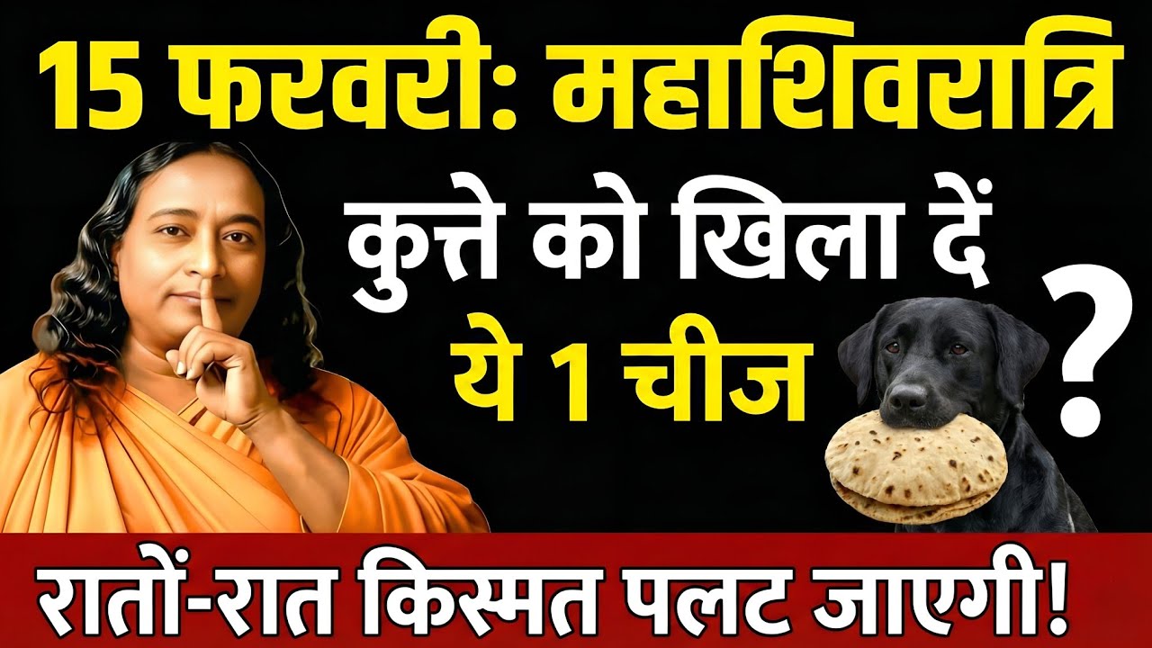 15 फरवरी महाशिवरात्रि: चुपचाप कुत्ते को खिला दें ये 1 चीज़, 24 घंटे में दिखेगा चमत्कार!