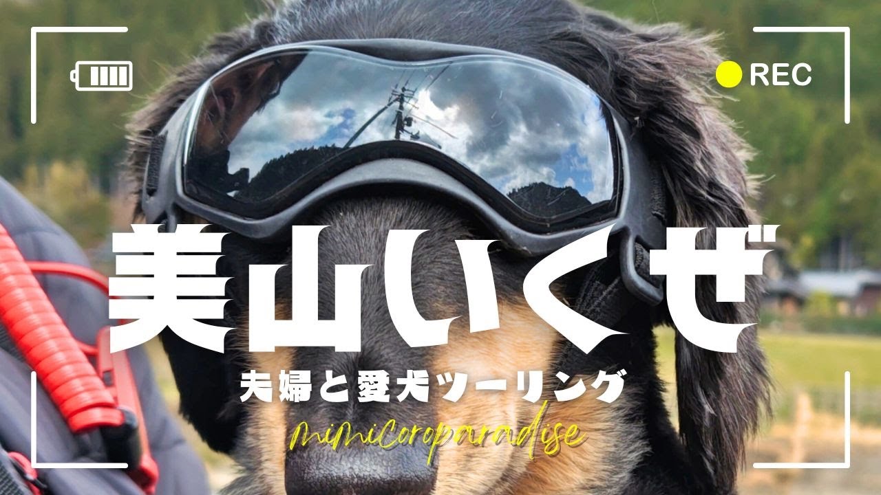 【夫婦と愛犬でツーリング】京都にある”美山かやぶきの里”へ！犬同伴OKなライダーズカフェ”ZERO-BASE”さんは心もお腹も満たされるカフェでした♪