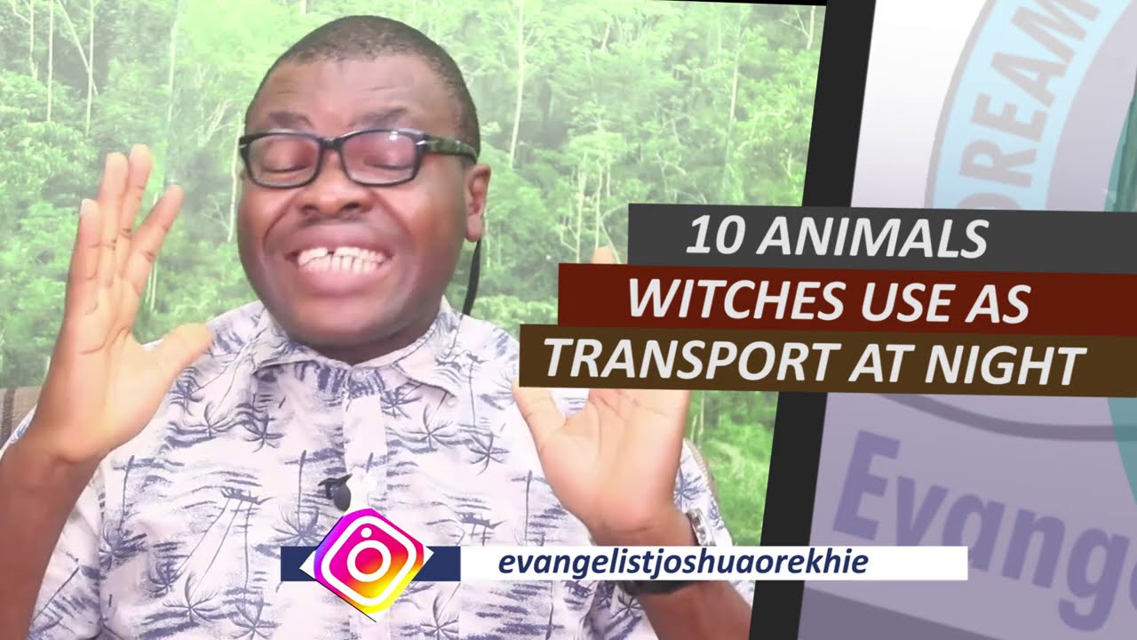 10 ANIMALS  WITCHES USE FOR TRANSPORT AT NIGHT AND THEIR SPIRITUAL MEANINGS