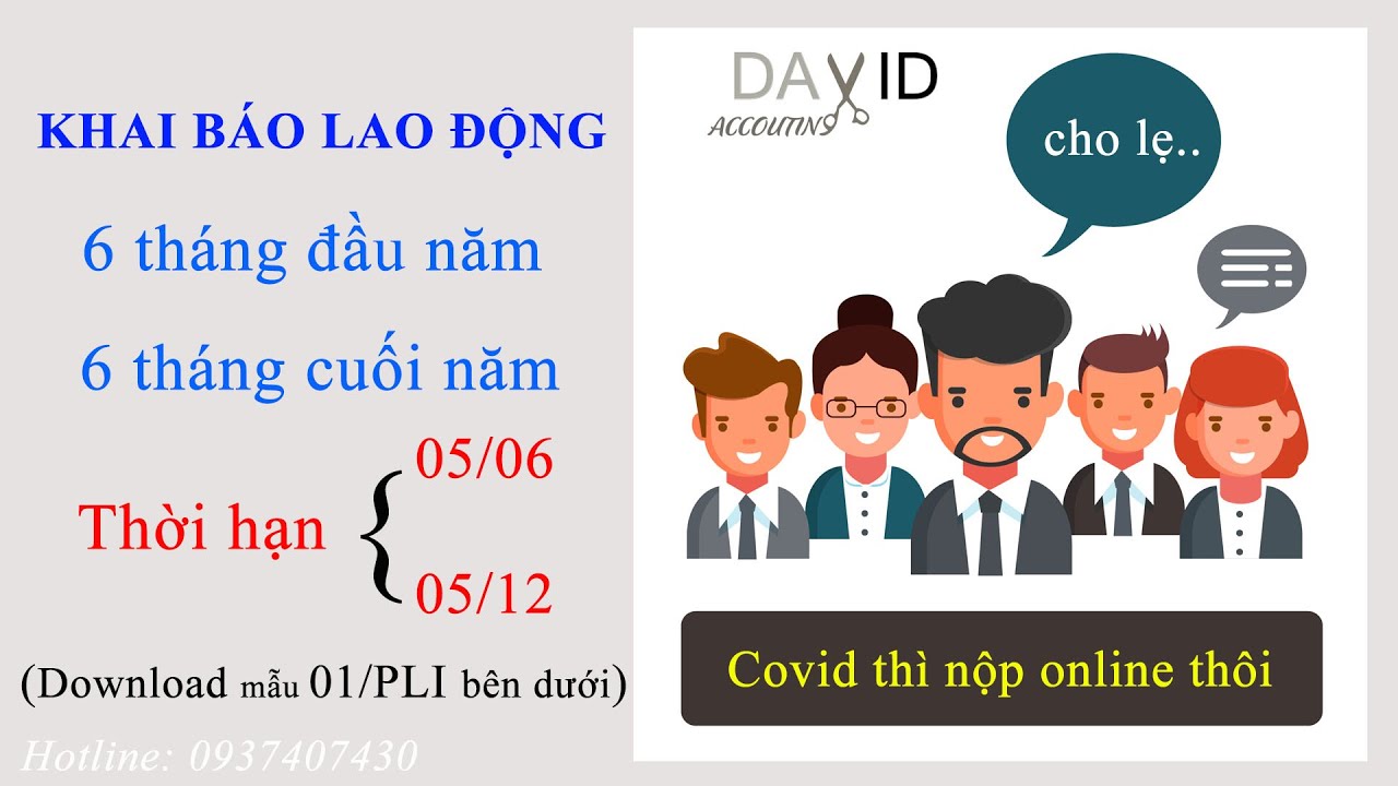 Hướng dẫn khai báo lao động 6 tháng đầu năm mẫu 01/PLI, 6 tháng cuối năm 2021 online_#Davidketoan