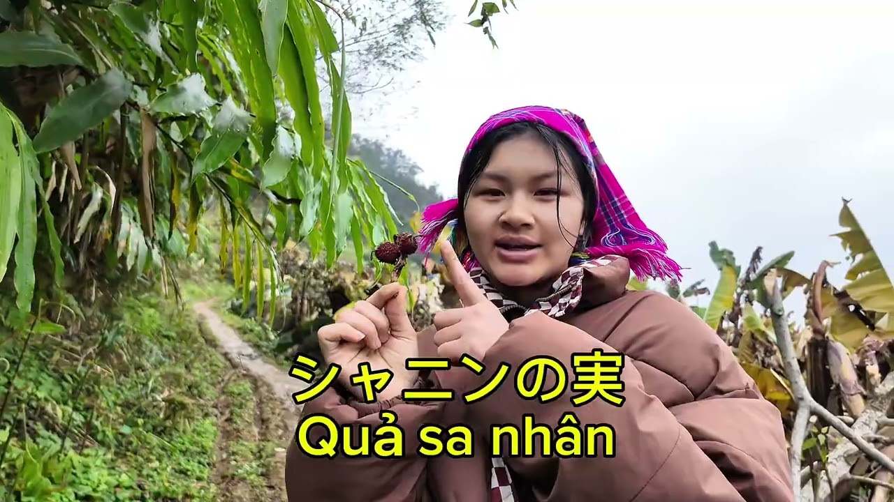 ベトナムの田舎にある木や花の名前【ベトナム語学習】 🌳🌸
