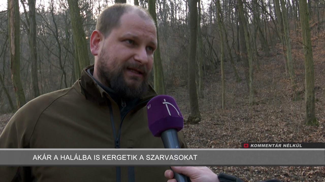 Kommentár Nélkül - 2020.02.19. - Szarvasagancs