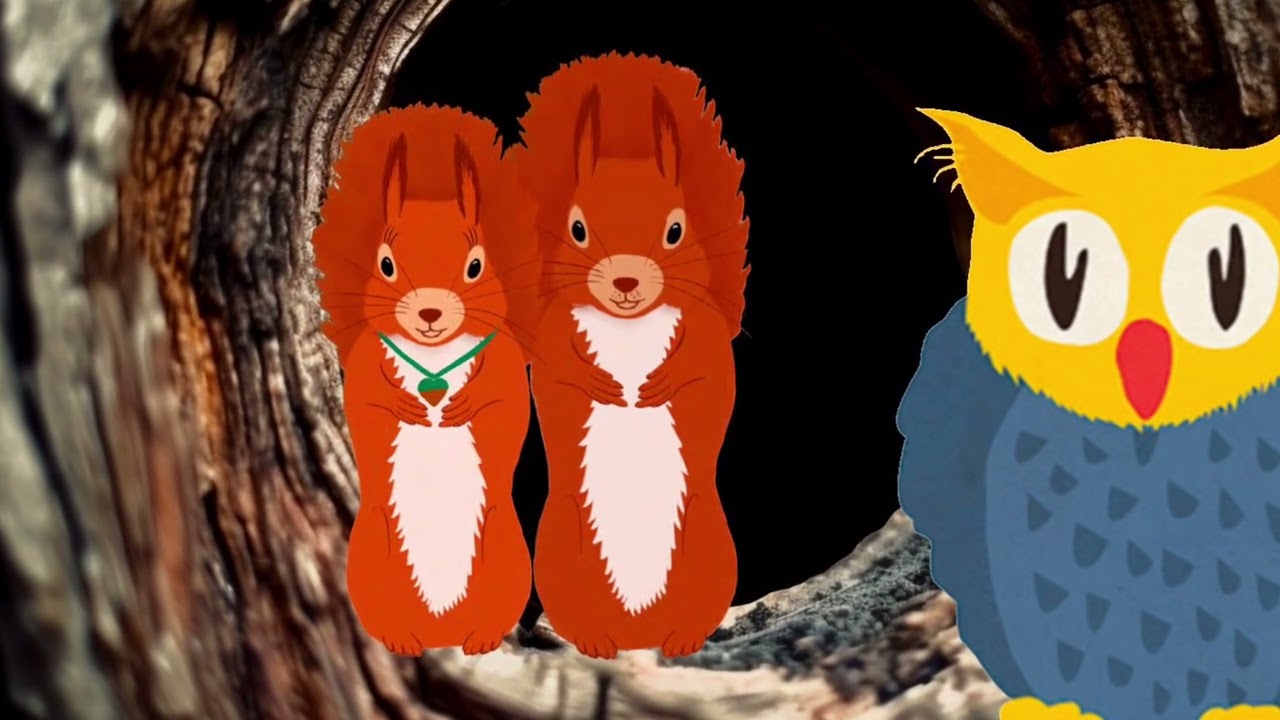 Eule findet den Beat mit Gefühl - Die Eichhörnchen
