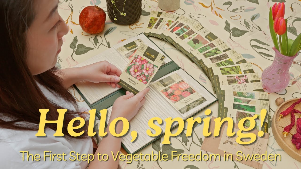 Prepare for Spring Planting | Find Food Freedom Journey | Slow Living Lifestyle in Sweden Vlog
