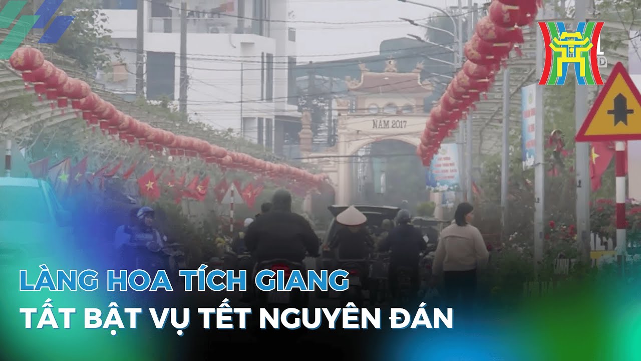 Làng hoa Tích Giang tất bật vụ Tết Nguyên Đán | Tin tức