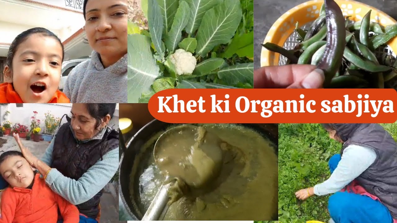 Ghar ki organic sabji 🌱 harvest karke hum gae maasi se milne 💕