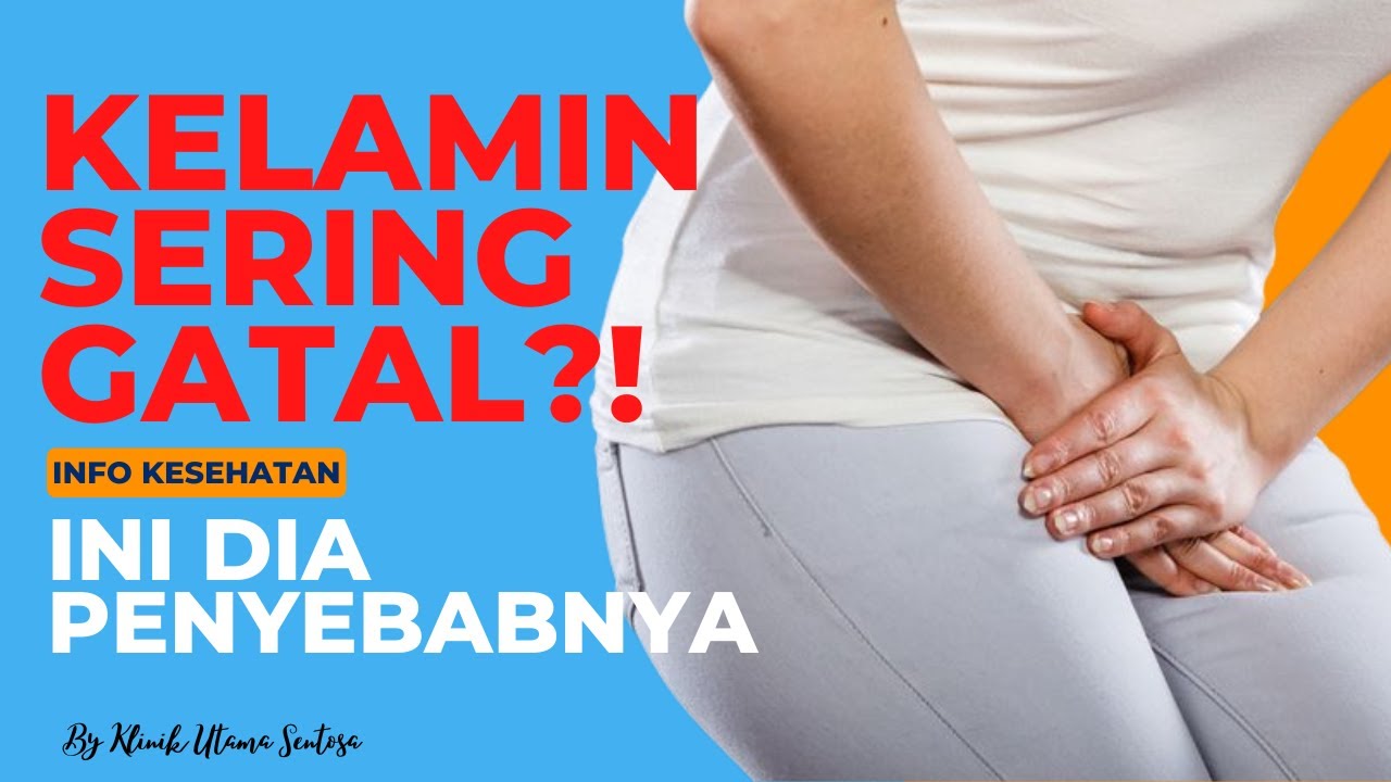 SERING GATAL DI KELAMIN ⁉ AWAS RADANG VULVA ..