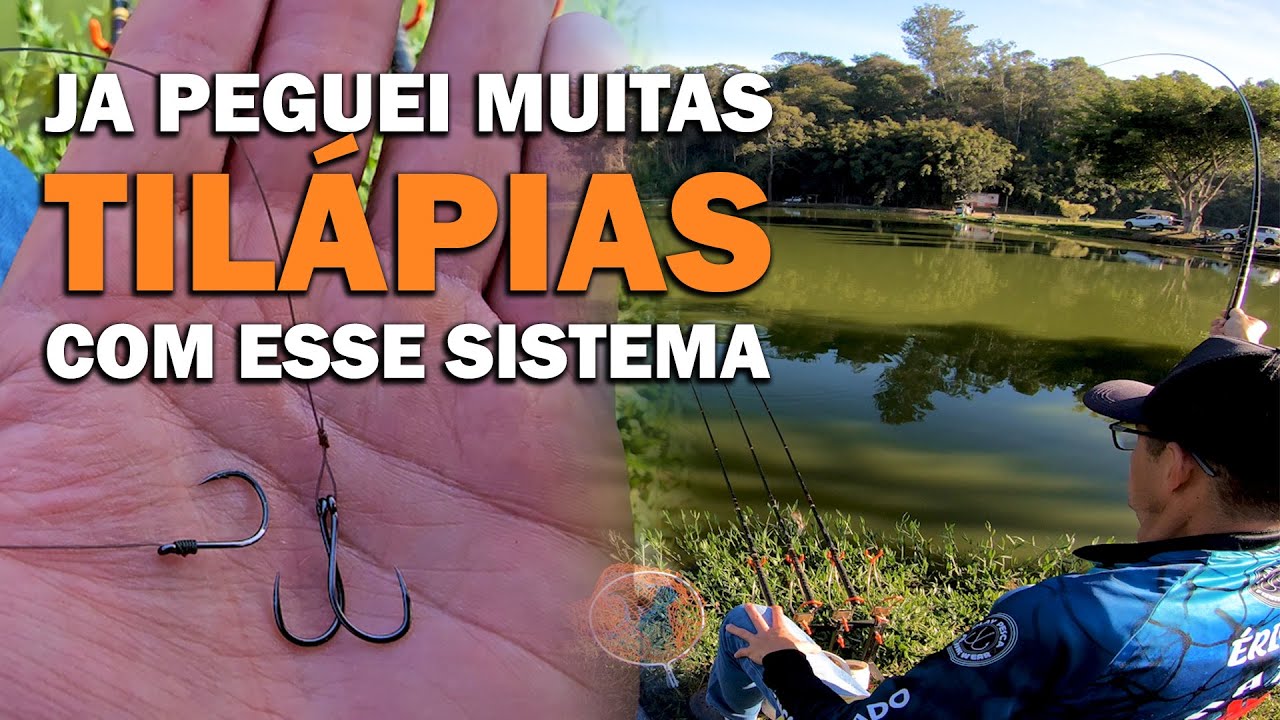 O SISTEMA que realmente FUNCIONA na pescaria de TILÁPIAS na diária.