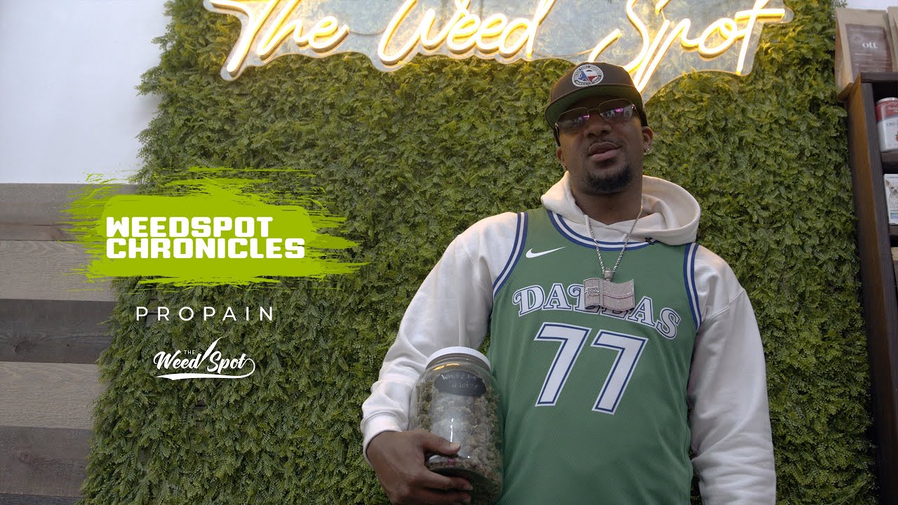 The Weed Spot Chronicles Ep 2: Propain goes shopping for CBD Flower