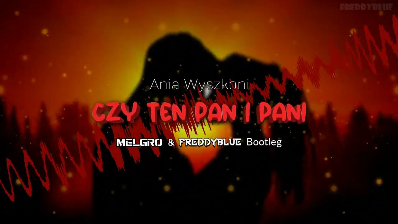 Ania Wyszkoni - Czy ten pan i pani (Melgro & FreddyBlue Bootleg)