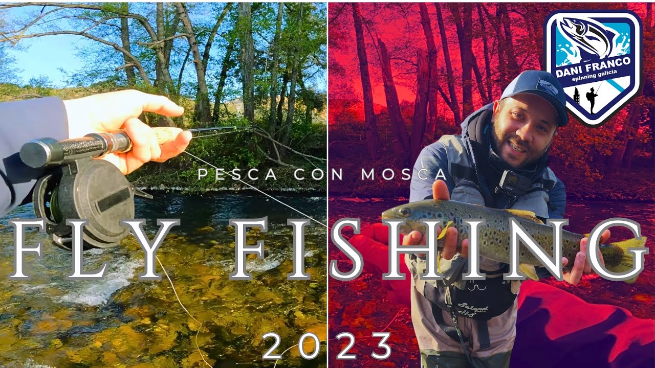 Fly Fishing THE BEST big tout river i have ever seen! 2023