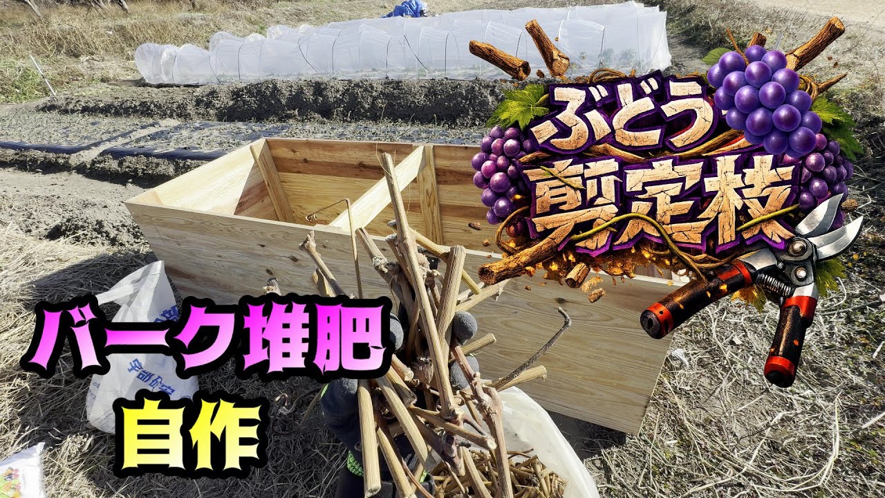 自作バーク堆肥【ブドウの剪定枝をバーク風に再循環】＃ぶどう＃栽培＃剪定＃シャインマスカット＃バーク堆肥＃カルス