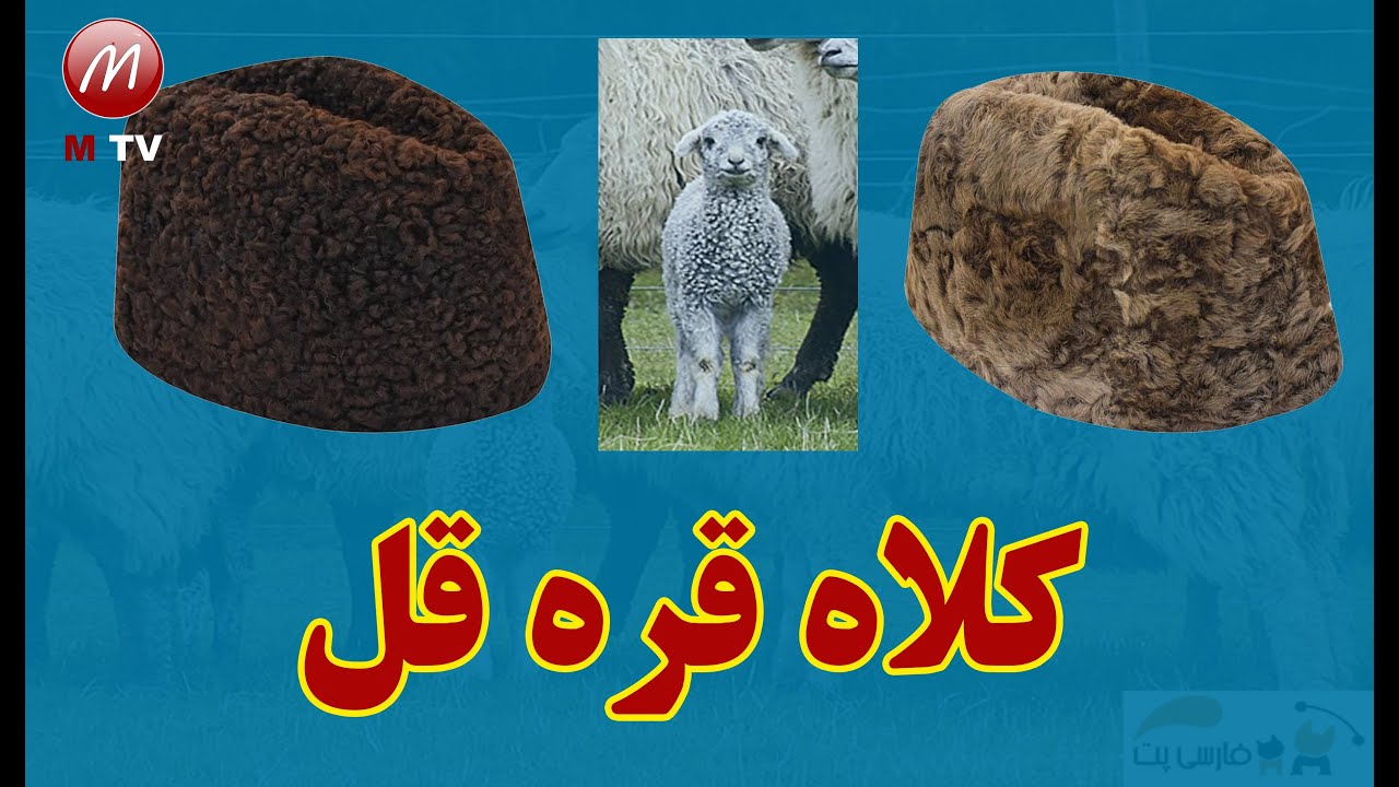 تاریخچه کلاه قره قل و چرا این کلاه را قره قل می مانند./History of the Karakol hat/#کلاه /#حامدکرزی