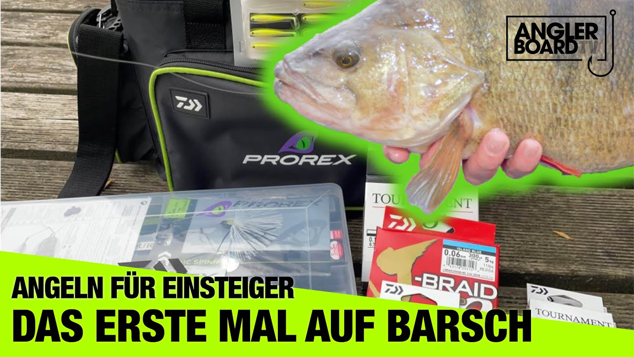 Angeln f&uuml;r Einsteiger &ndash; BARSCHANGELN | Tipps und Tricks f&uuml;r Anf&auml;nger | ANGLERBOARD TV